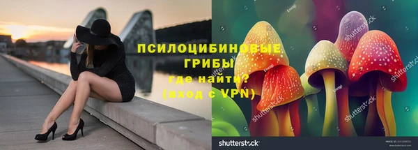 кокс Алексин