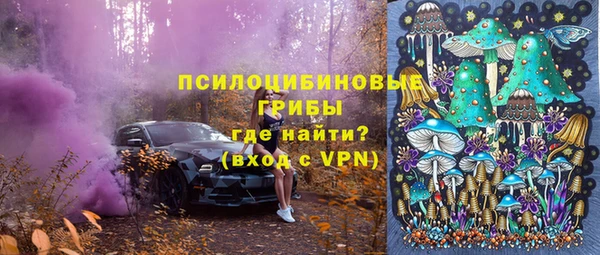 крисы Алзамай