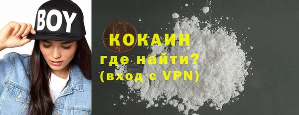 кокс Алексин