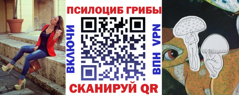 гидра вход  Полесск  Галлюциногенные грибы Psilocybe 